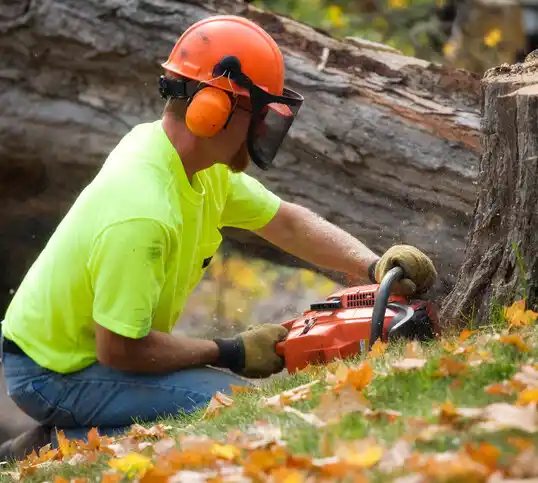 tree services Quiogue